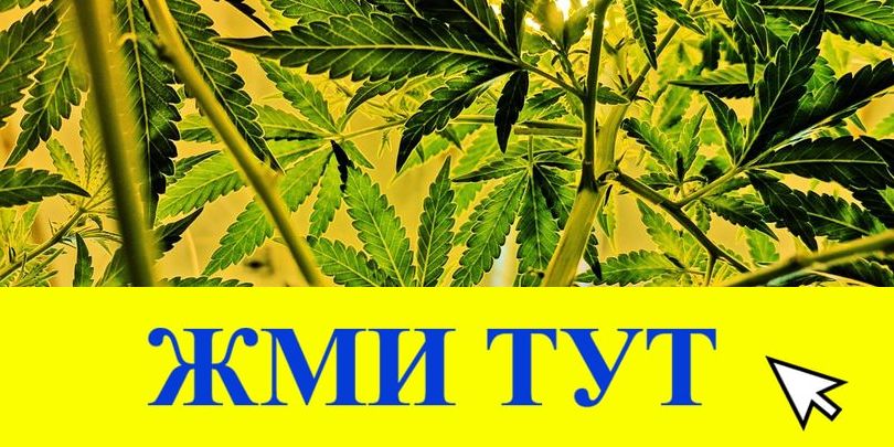 Купить наркотики в Михайлове